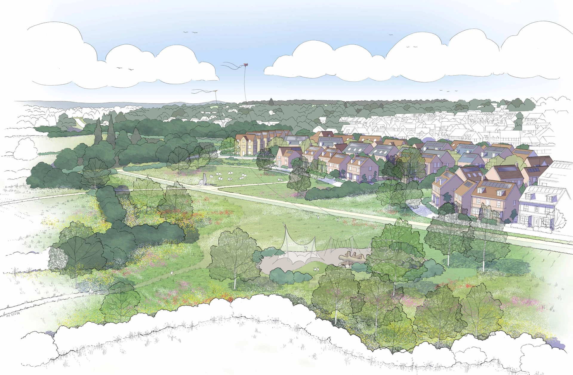 wootton vision